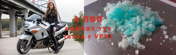 apvp Белокуриха