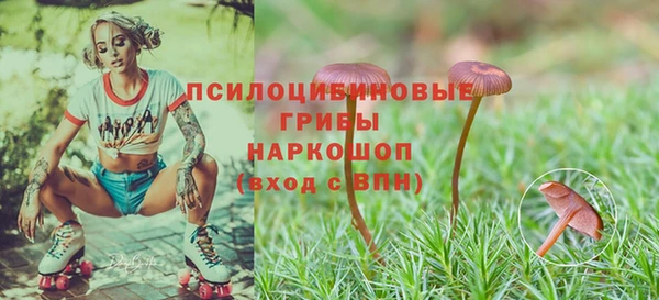 первитин Богородск