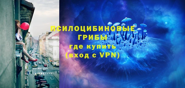 apvp Белокуриха